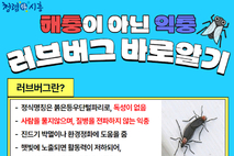 러브버그, 이렇게 대응하세요