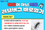 러브버그, 이렇게 대응하세요