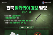 말라리아 경보, "의심 증상 발생 시 무료 검사"