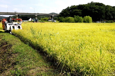 ‘2026년 전략작물직불 사업’ 신청 접수, 5월 29일 마감