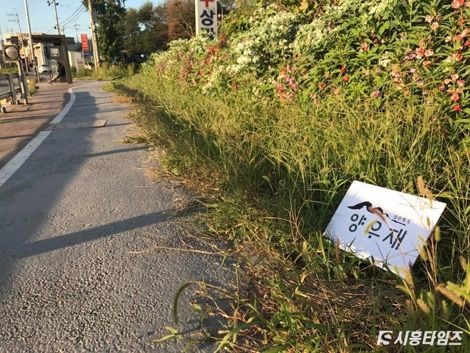 주민들은 지저분했던 가게 앞 거리에 꽃길을 만들었다.