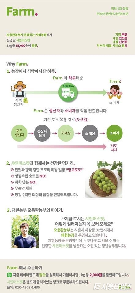 지난해 10월 판매한 팜닷 1호 상품 설명