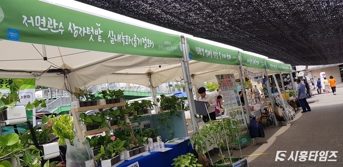 (사진제공=박소영 객원기자)