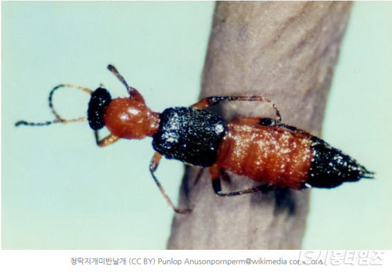자료제공: 시흥시