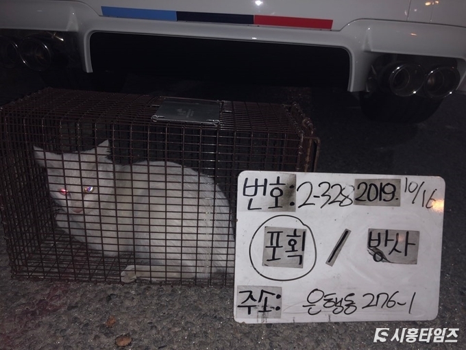 자료제공: 시흥시