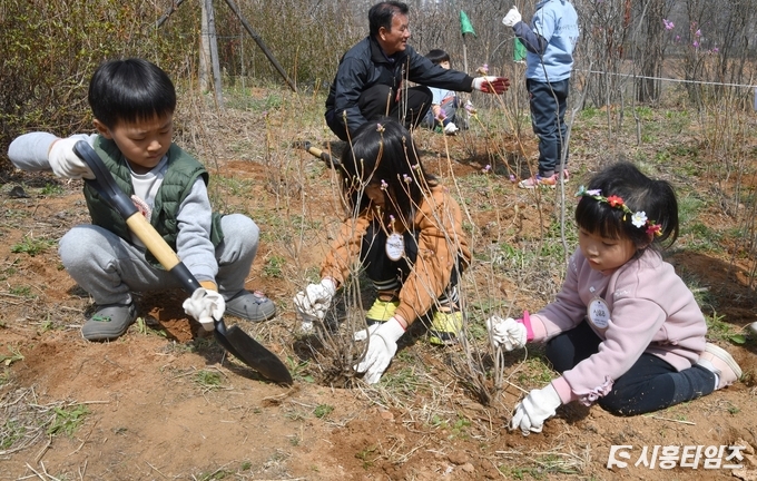 자료제공: 시흥시