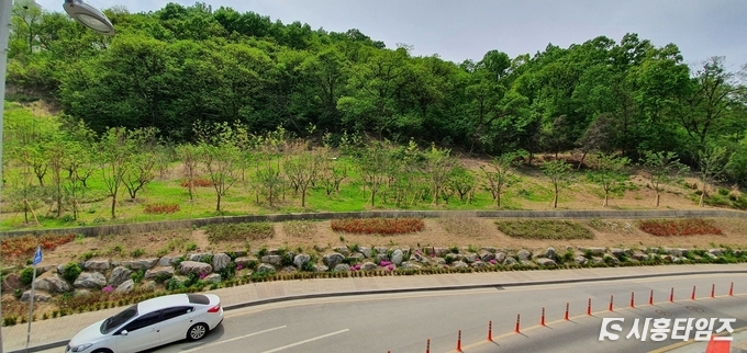 자료제공: 시흥시
