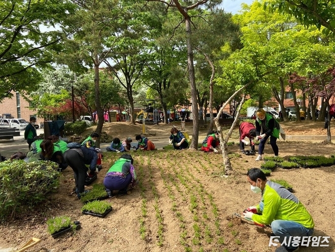 자료제공: 시흥시