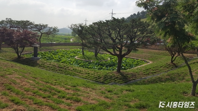 관곡지 전경. 자료제공: 시흥시