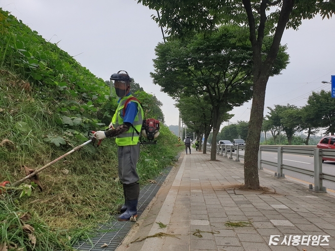 자료제공: 시흥시 군자동