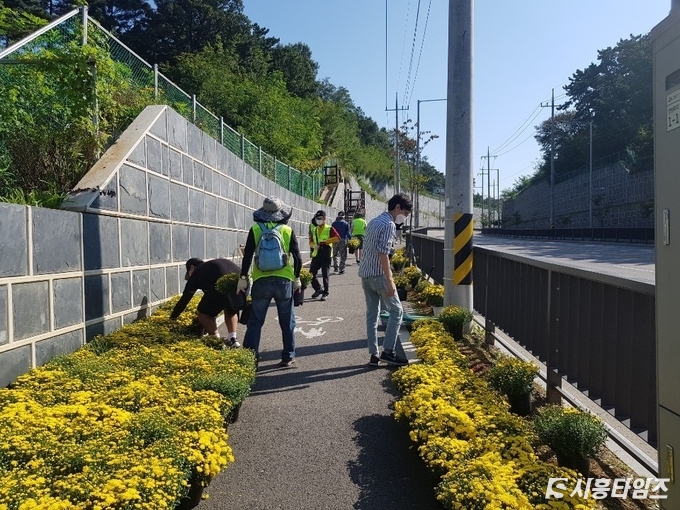 자료제공: 시흥시