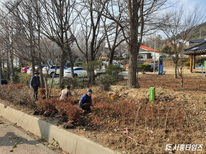 자료제공: 시흥시