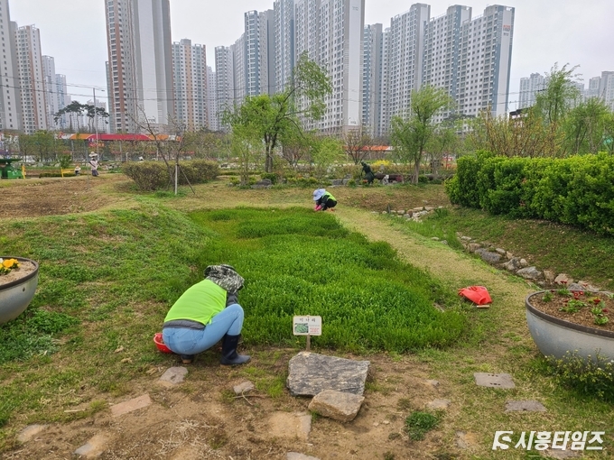 자료제공: 시흥시