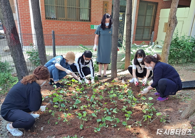 자료제공: 시흥시