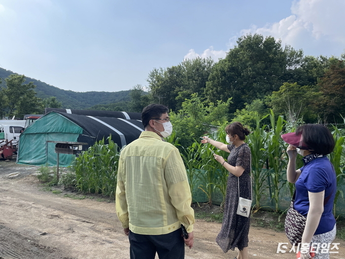 자료제공: 시흥시