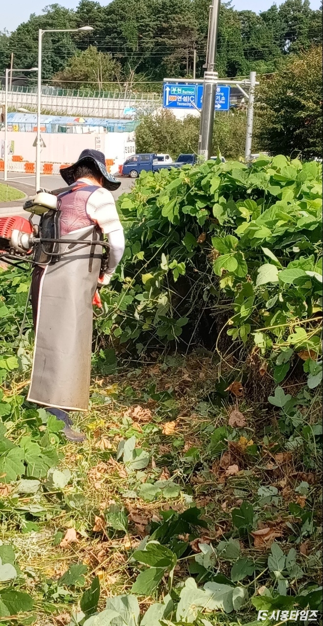 자료제공: 시흥시