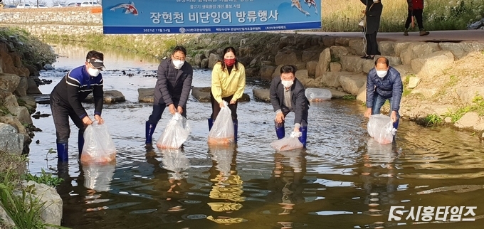 자료제공: 시흥시
