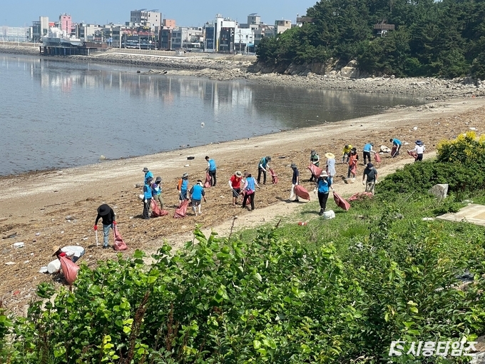 자료제공: 시흥시