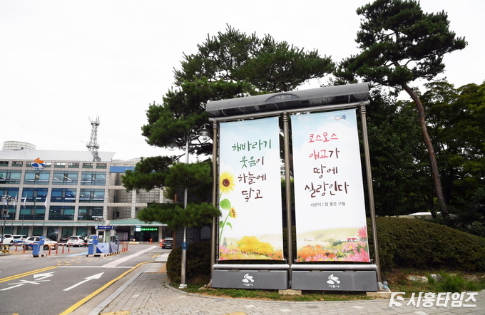 자료제공: 시흥시