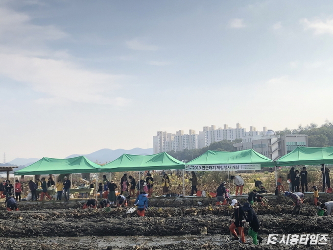 자료제공: 시흥시