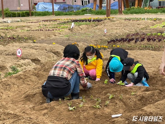 자료제공: 시흥시