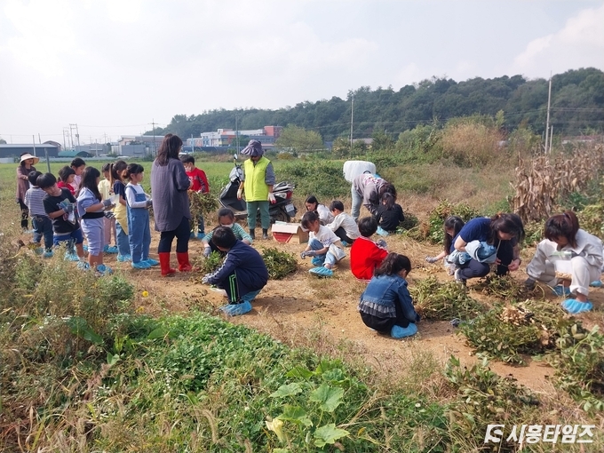 자료제공: 시흥시
