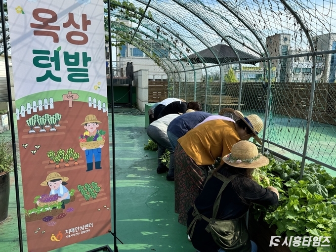 자료제공: 시흥시