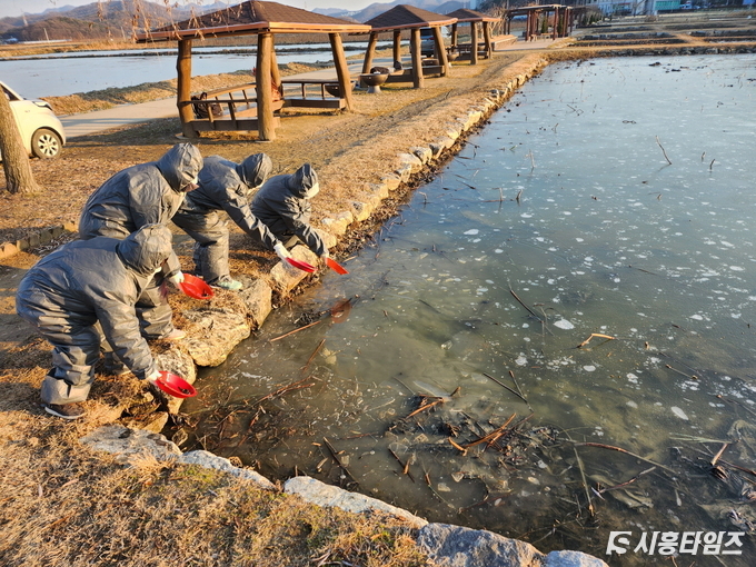 자료제공: 시흥시