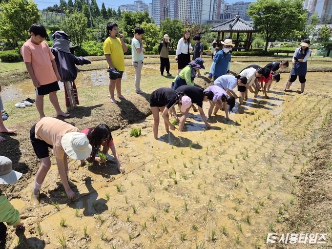 자료제공: 시흥시