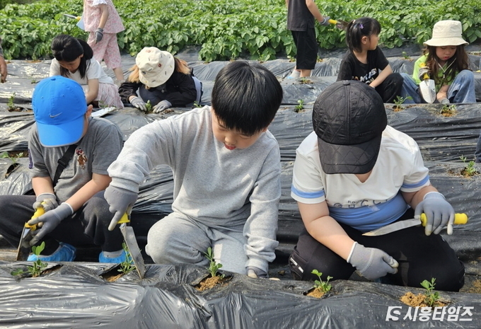 자료제공: 시흥시