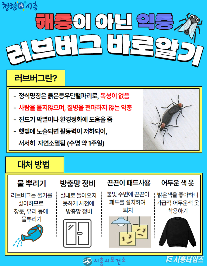 자료제공: 시흥시