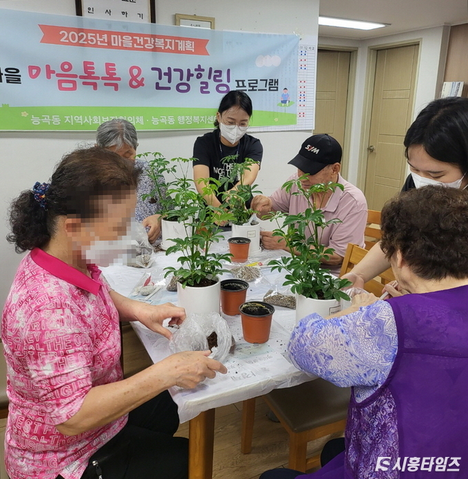 자료제공: 시흥시