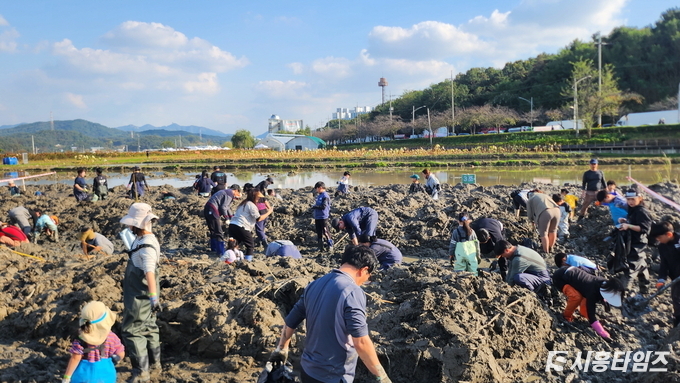 자료제공: 시흥시